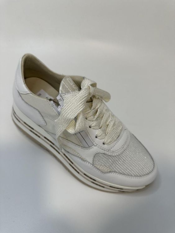  DL SPORT VETERSCHOEN  - De Peperstraat (Poperinge)