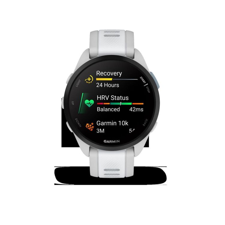  GARMIN Forerunner® 165 Music, Mist grey/Whitestone  - De Peperstraat (Poperinge)