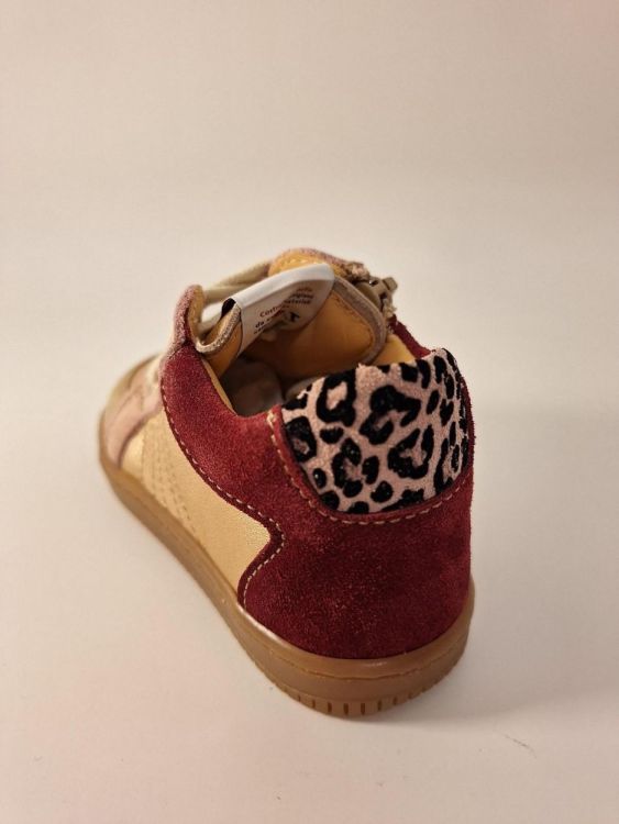 OCRA OCRA SNEAKER  - De Peperstraat (Poperinge)