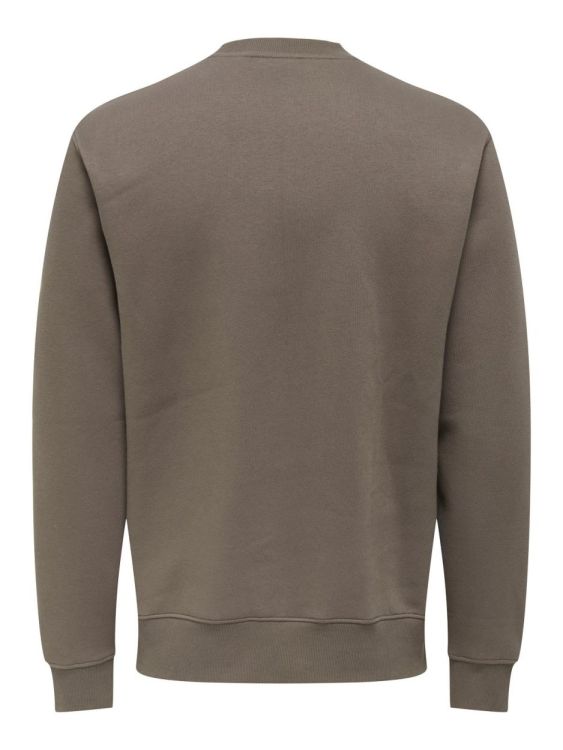 ONLY & SONS ONLY AND SONS TRUI  - De Peperstraat (Poperinge)