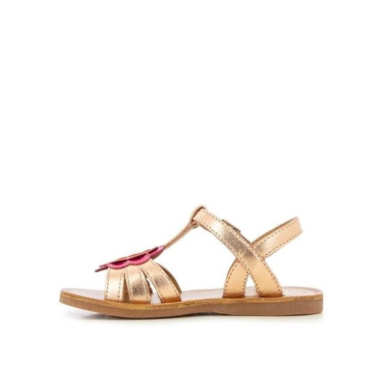  POM D'API SANDAAL  - De Peperstraat (Poperinge)