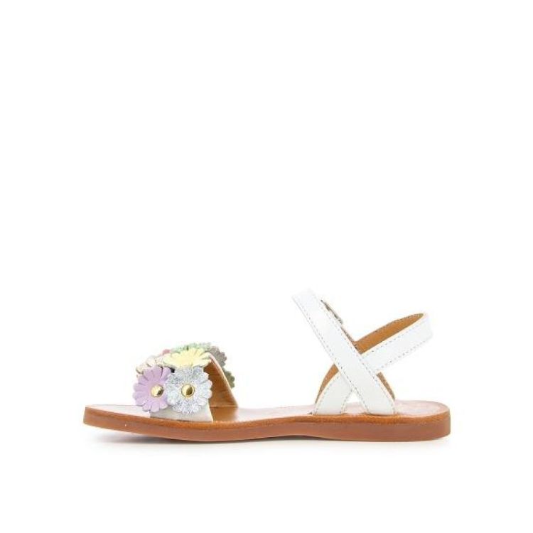  POM D'API  - De Peperstraat (Poperinge)