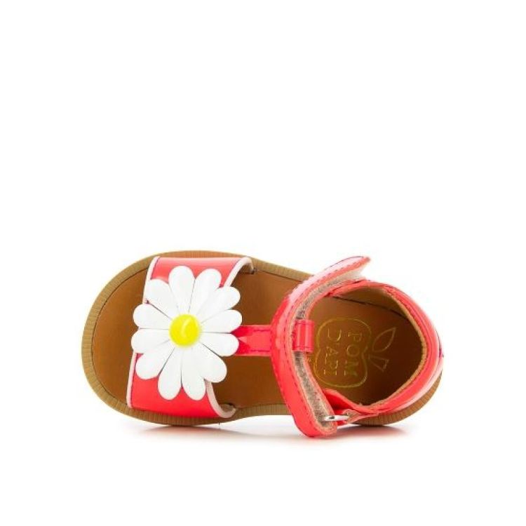  POM D'API  - De Peperstraat (Poperinge)