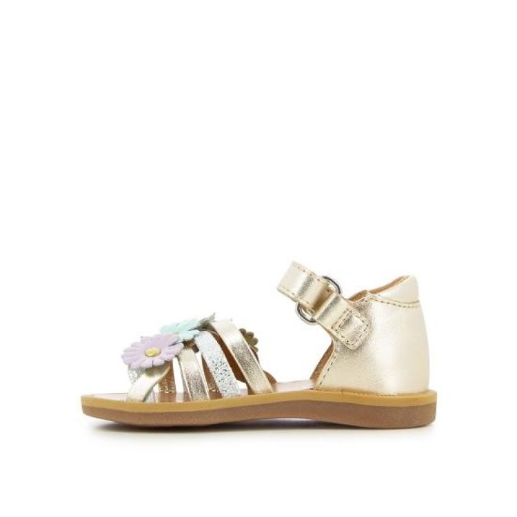  POM D'API  - De Peperstraat (Poperinge)