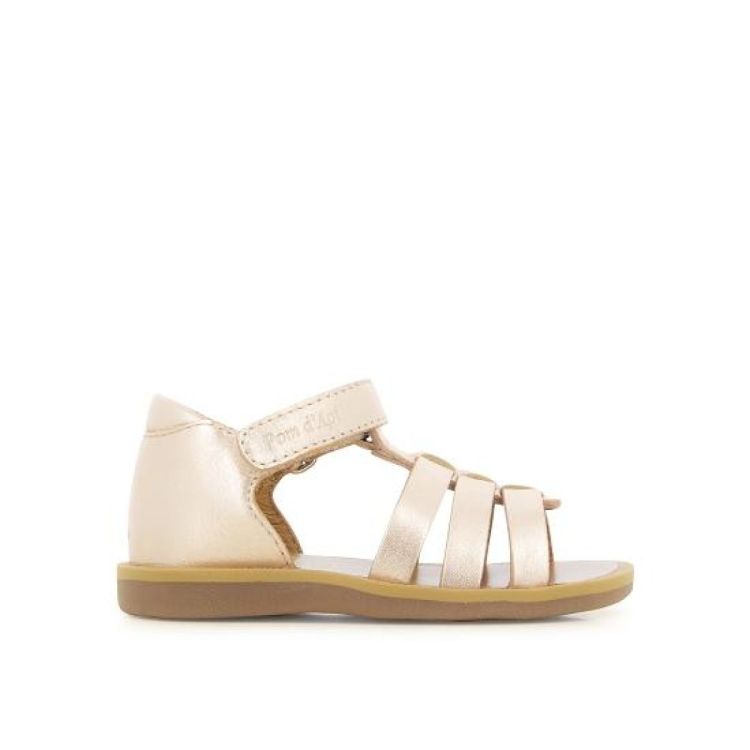  POM D'API  - De Peperstraat (Poperinge)