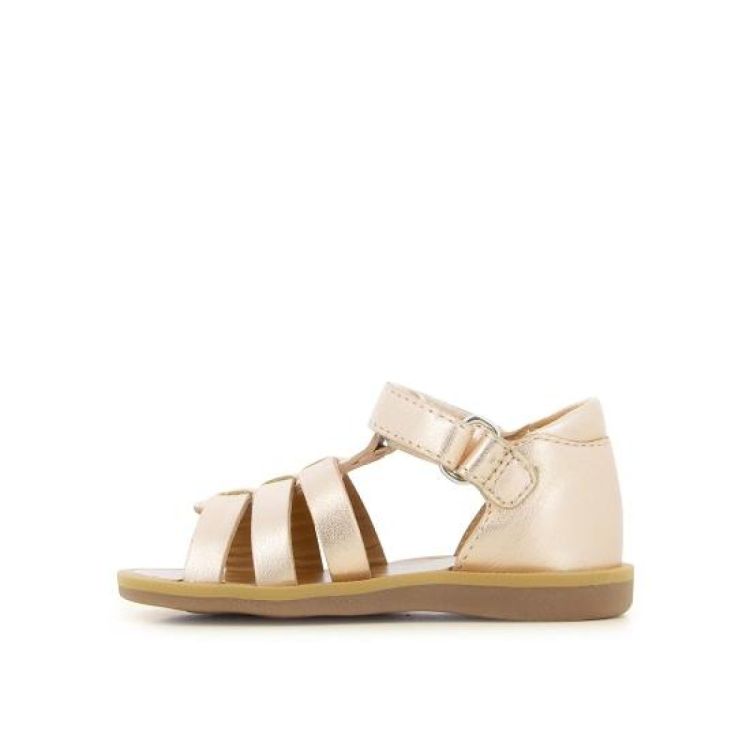  POM D'API  - De Peperstraat (Poperinge)