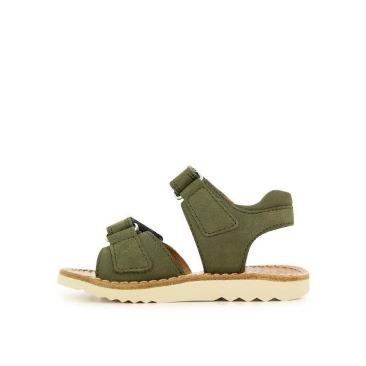  POM D'API  - De Peperstraat (Poperinge)