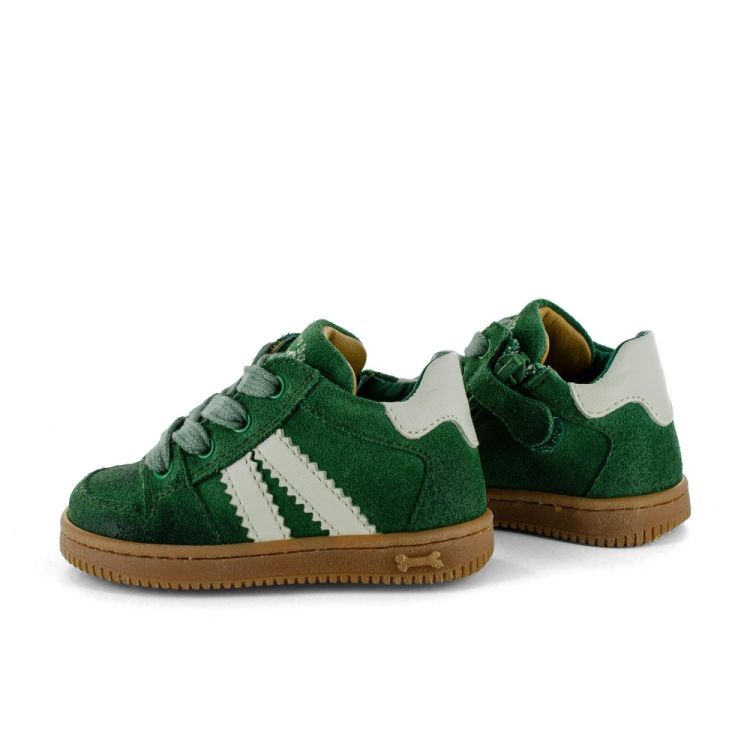 STONES AND BONES STONES&BONES SNEAKER  - De Peperstraat (Poperinge)