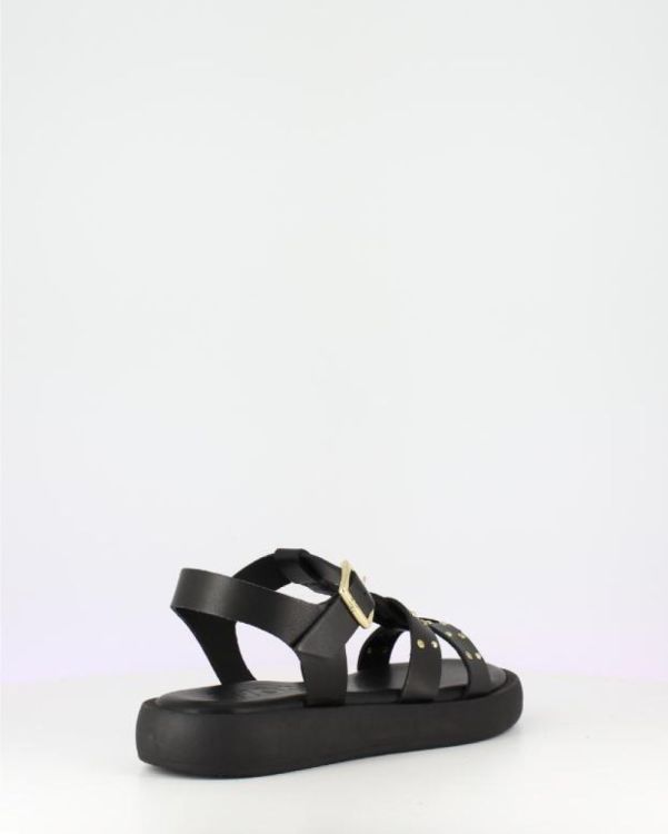 WONDERS WONDERS SANDAAL  - De Peperstraat (Poperinge)